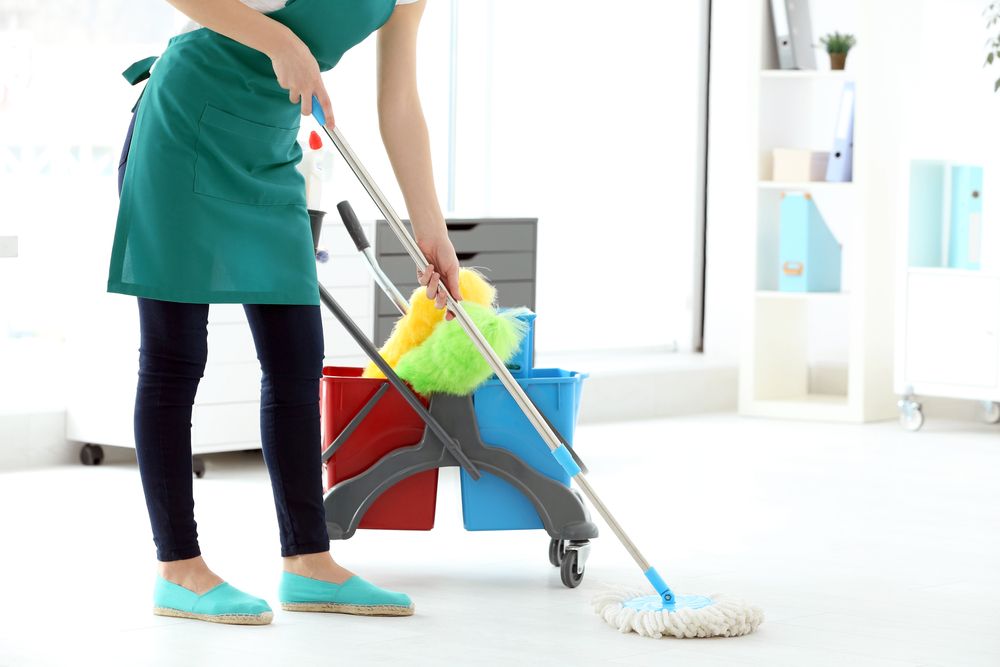 House Cleaning Professional